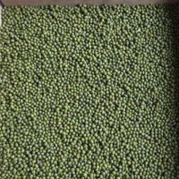 綠豆 東北綠豆雜糧小綠豆批發明綠豆雜糧批發廠家直銷