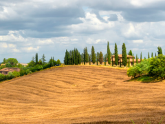 休閑農(nóng)業(yè)最重要的三個(gè)關(guān)口:休閑農(nóng)業(yè)最重要的三個(gè)關(guān)口