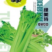 現(xiàn)貨供應芹菜籽 產(chǎn)地貨源芹菜子蔬菜種植批發(fā)
