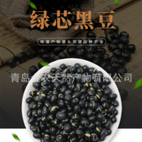 廠家直供黑皮綠仁烘炒黑豆-量大質優(yōu)，出口品質