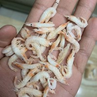 寵物飼料蝦干倉(cāng)鼠糧零食蝦干小蝦干面包蟲魚干蝦干黃粉蟲干白蝦干