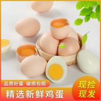 蓮田優(yōu)選雞蛋農場農莊雞蛋土雞產蛋無抗新鮮雞蛋谷物糧食喂養(yǎng)40枚  2件起批