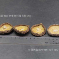 廠家直銷剪腳香菇干食用菌優(yōu)質干貨肉厚小香菇批發(fā)散裝500g  2件起批