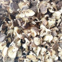 2022年新貨 云南特產干香菇 椴木香菇香甜味好的食用香菇批發(fā)