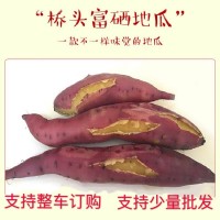海南澄邁橋頭富硒地瓜原產地批發(fā)板栗紅薯富硒橋頭地瓜精選大果