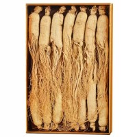 白參長白山生曬參全須干人參整支半斤禮盒裝250g手選貨送禮規格全