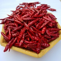 河南新一代干辣椒朝天椒三櫻椒大量批發(fā)火鍋底料廠(chǎng)家現(xiàn)貨直銷(xiāo)