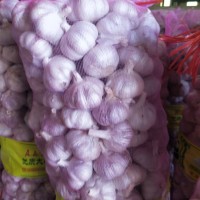 供應金鄉太空蒜種，蒜子，紫皮蒜子，白皮蒜子
