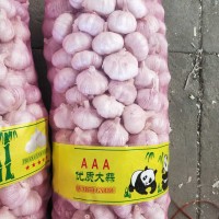 大蒜公司，源頭工廠供應金鄉出口大蒜，超市大蒜
