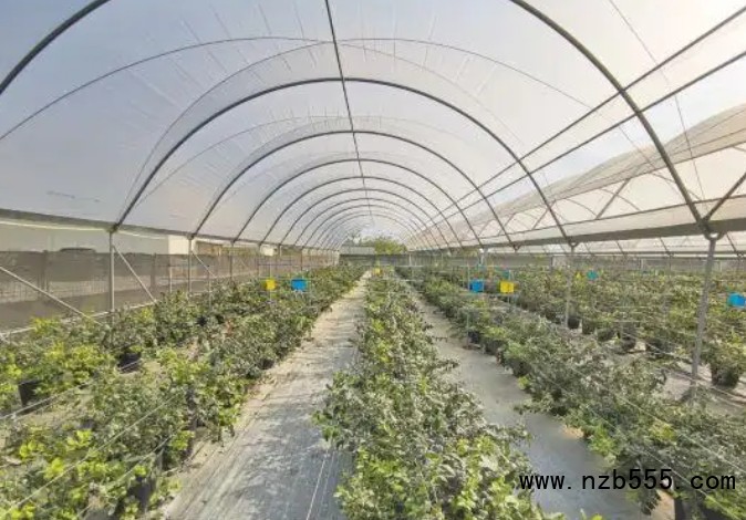 微信截圖_20250421164129